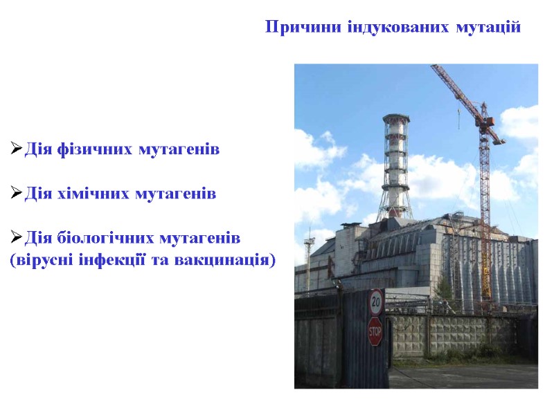 Причини індукованих мутацій  Дія фізичних мутагенів  Дія хімічних мутагенів  Дія біологічних